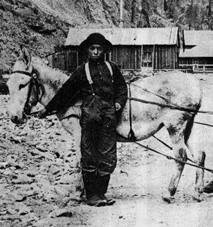 Black-and-white photo of young William 'Billy' Jackson standing beside a pack horse in North Creede, Colorado, wearing miner's overalls and suspenders.