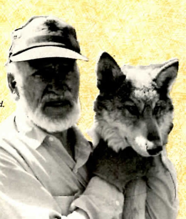 Black-and-white photograph of an older bearded man in a cap, standing beside and holding a wolf or coyote.