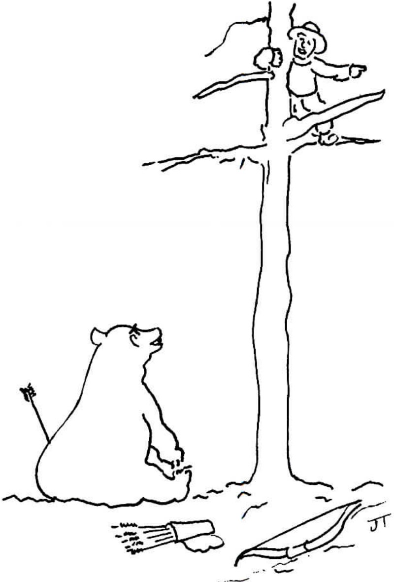 Pen-and-ink cartoon of a bear sitting wounded with an arrow in its haunch at the base of a tall tree, while a hunter perched high in the tree points and calls down.