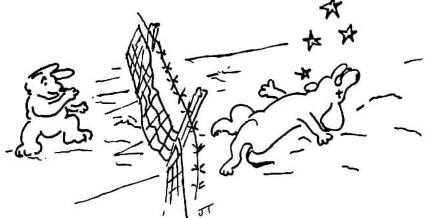 Pen-and-ink cartoon of a dog flung backward off a wire fence, stars circling its head, as a jackrabbit runs clear on the other side.