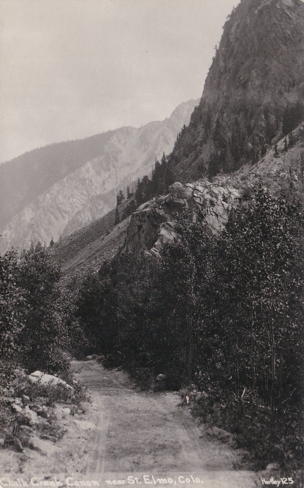 Sepia-toned photograph postcard of Chalk Creek Canyon near St. Elmo, Colorado, showing a narrow canyon with steep rocky walls and scattered pine trees along a creek bed.